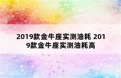 2019款金牛座实测油耗 2019款金牛座实测油耗高